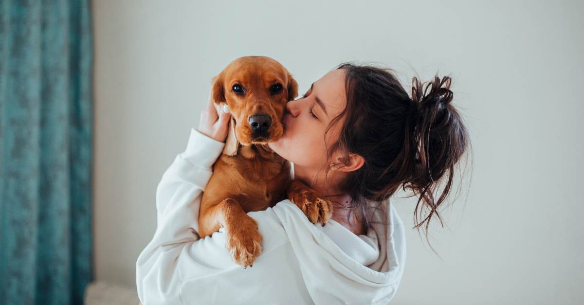 Preparing Your Home For A New Dog